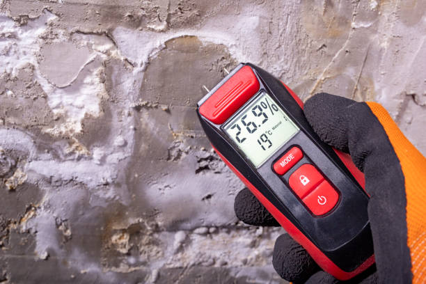 Best Fast Mold Removal  in Tishomingo, OK